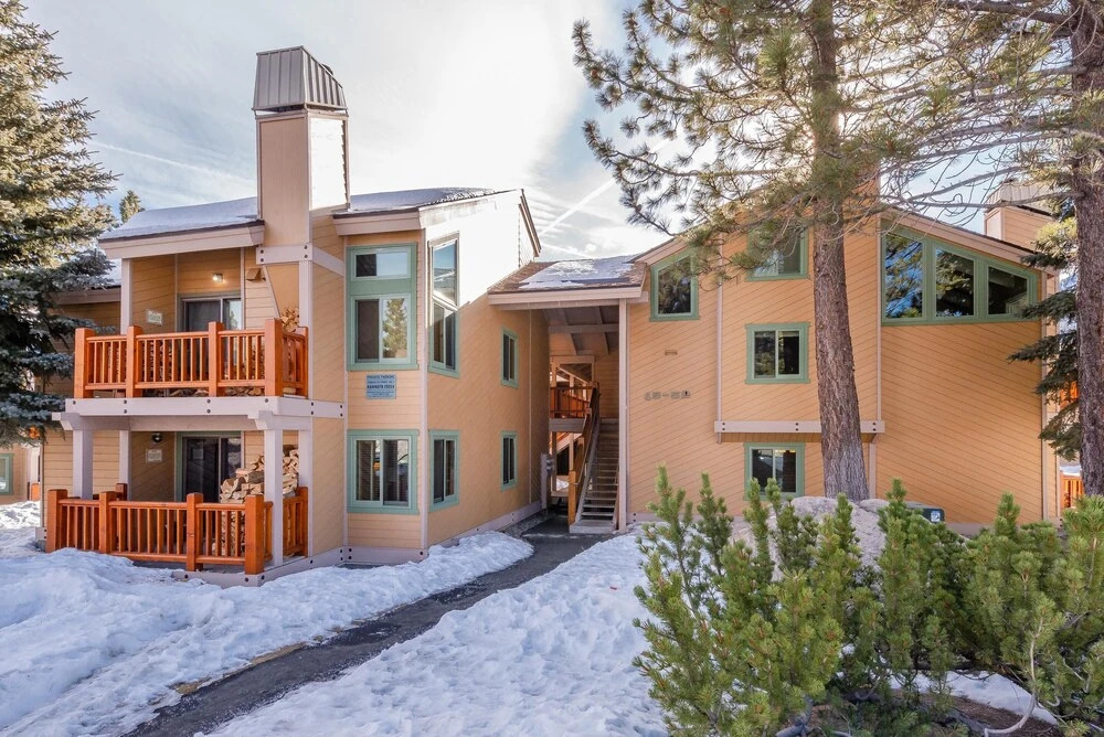 Mammoth Creek #52