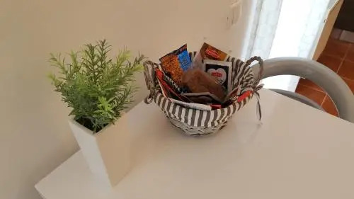 Apartment Roko