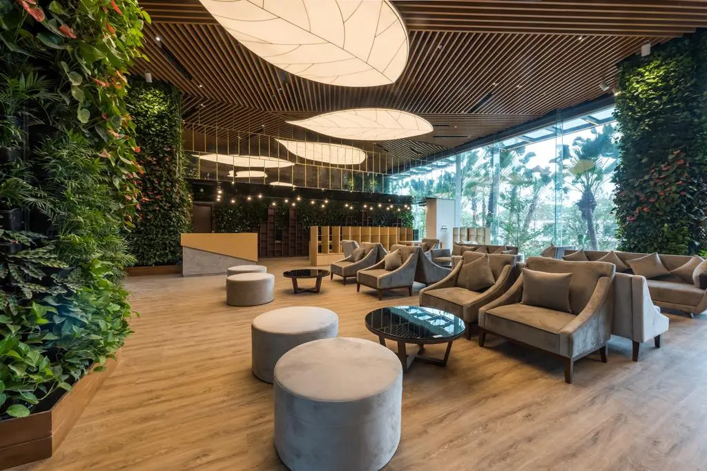 Forest In The Sky - Flamingo Dai Lai