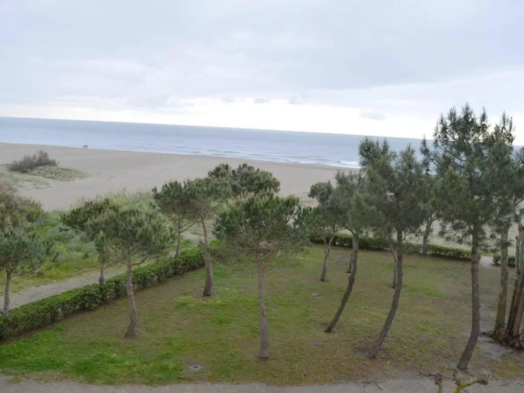 Appartement Argelès-sur-Mer, 1 pièce, 4 personnes - FR-1-225-100