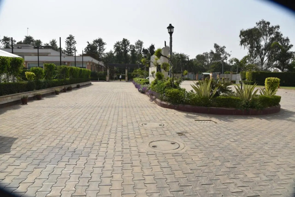Opulent by Udman Chhattarpur