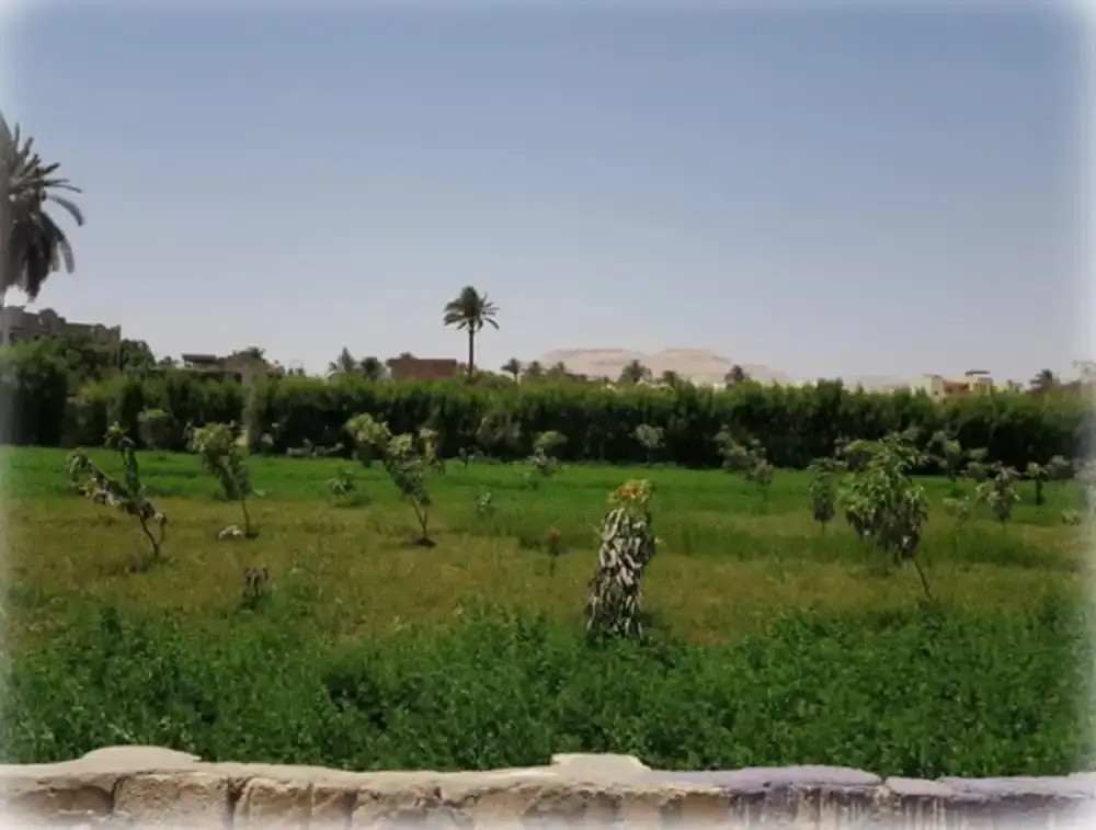 Harmony Villas Sleeps 4 with Garden