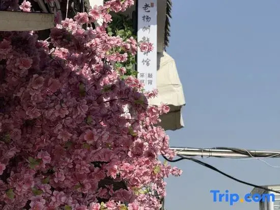 Youju Homestay