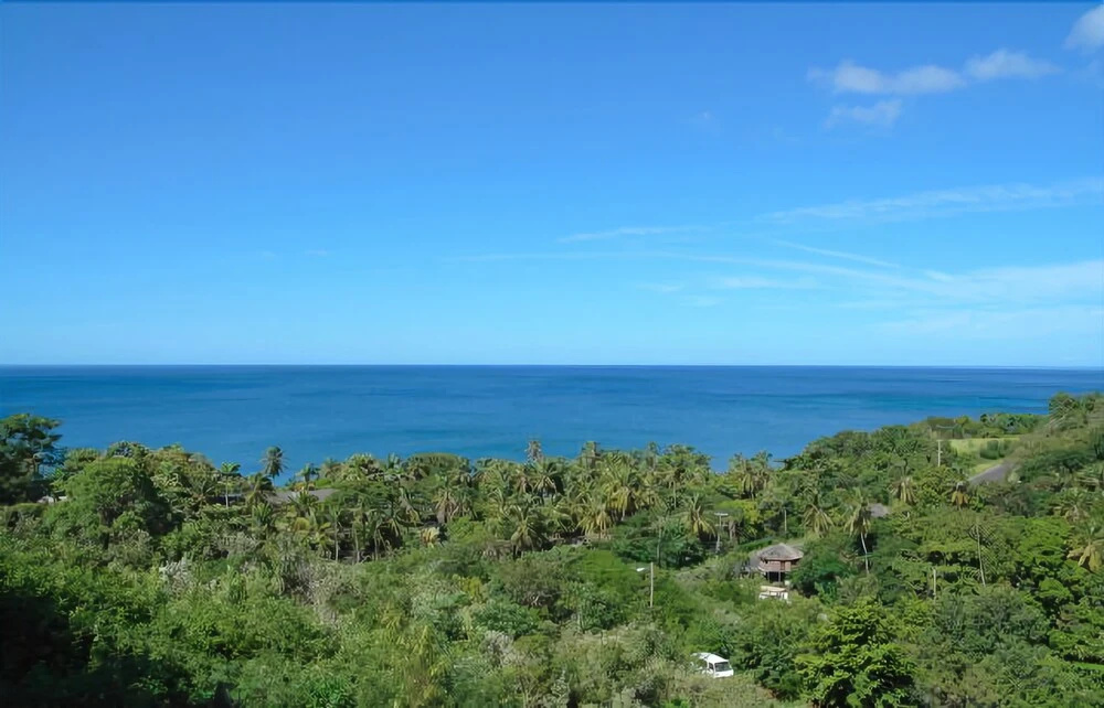 Island Bay Boutique
