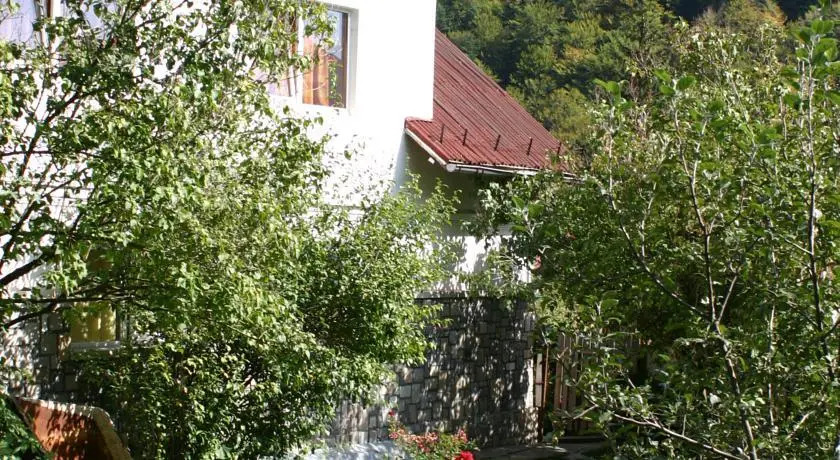 Vila Lucica