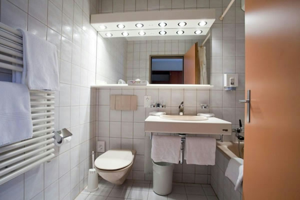 Seehotel Bönigen
