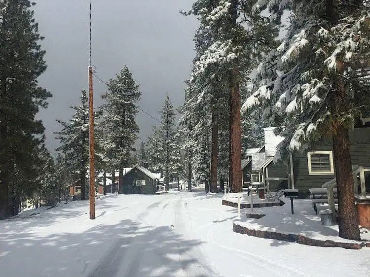 Cabin 5