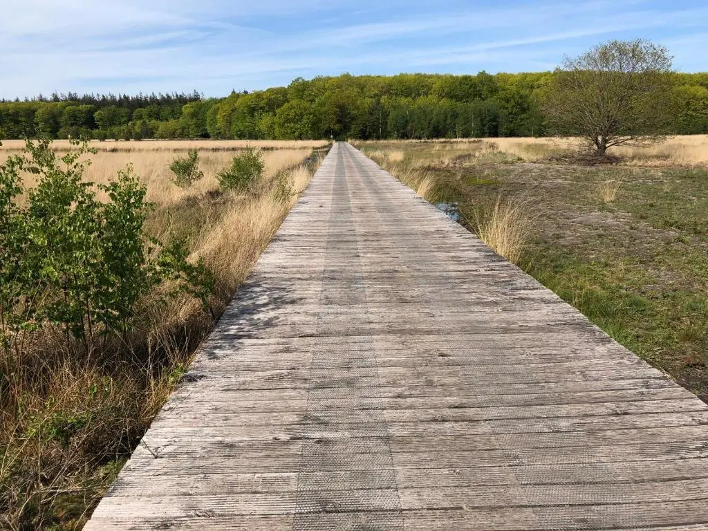 B&B Schoonloo - natuur, ruimte & rust