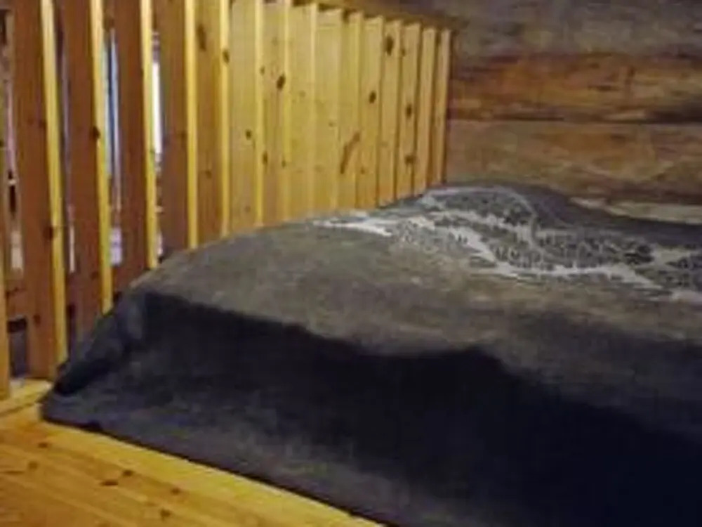 Mustalampi 2 Kurkiaura Kuusamo
