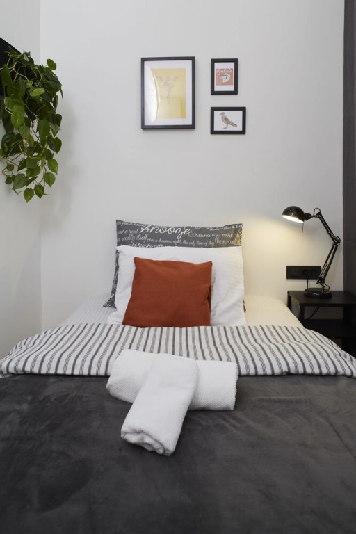 Zest and Nest Apartments in the center