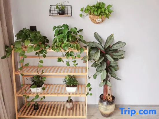Xiangshan Bieju Yige Homestay