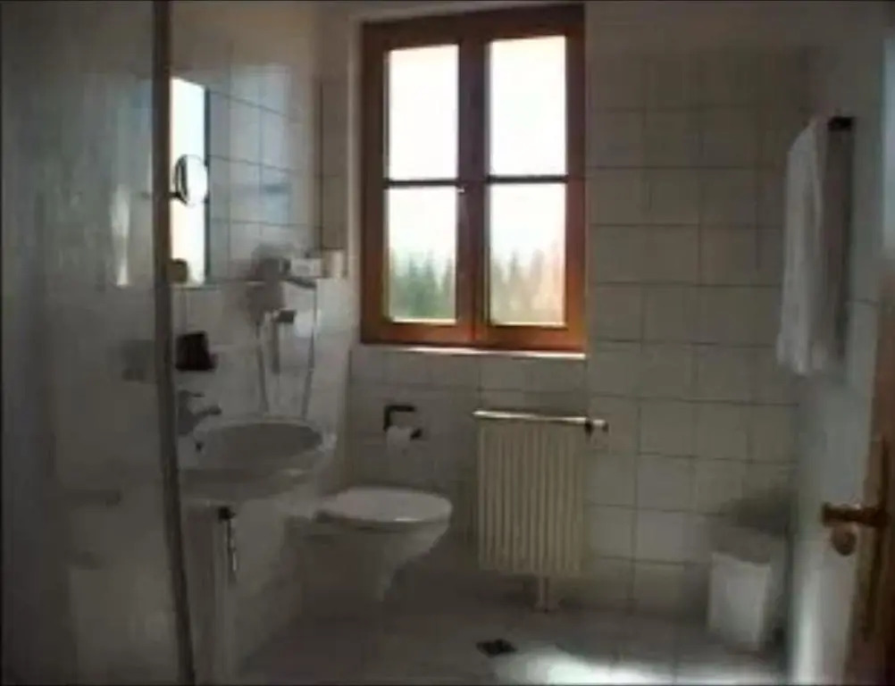 Hotel & Gasthof zum Rödelseer Schwan