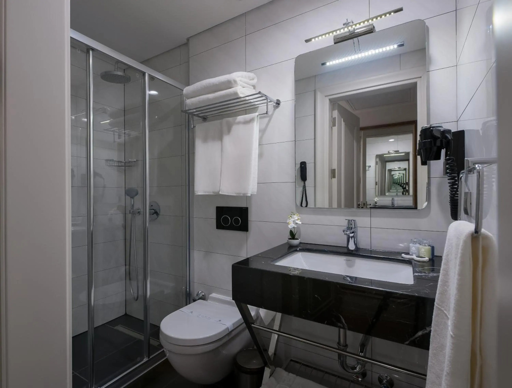 Le Petit Palace Hotel - Special Category