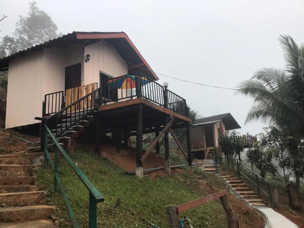 Forest Guesthouse