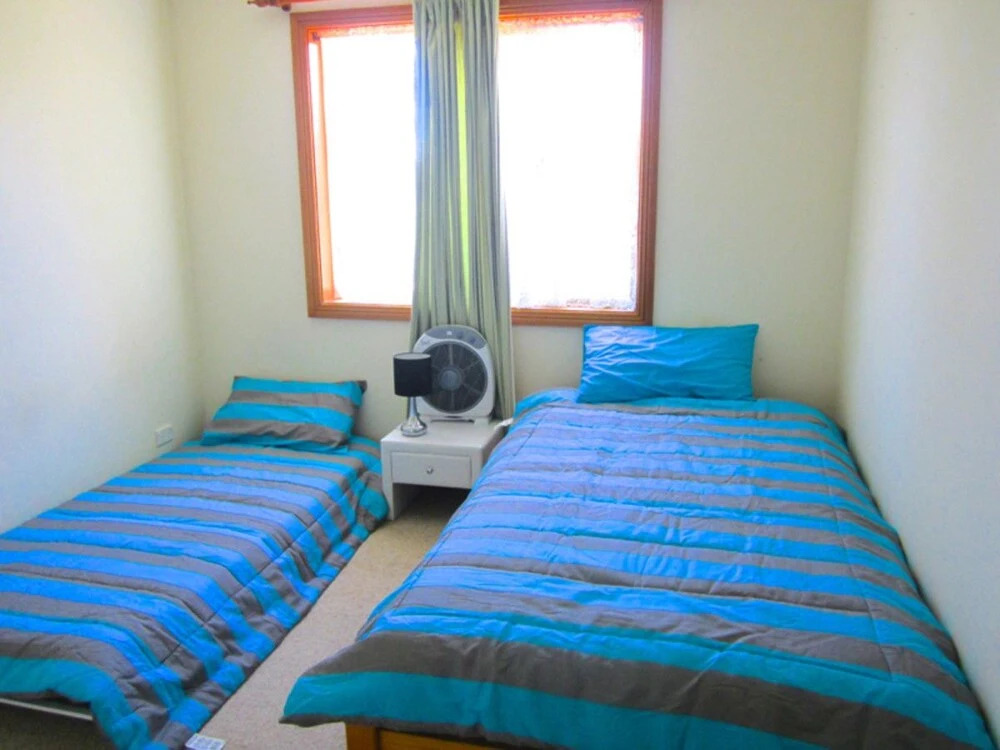 14 Lomandra
