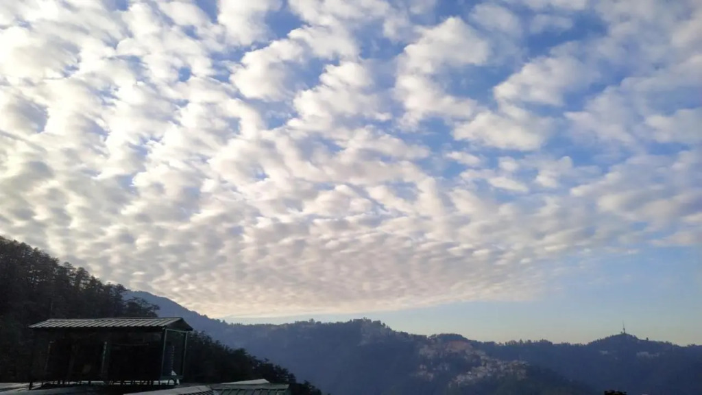 Hotel Hilton View Shimla