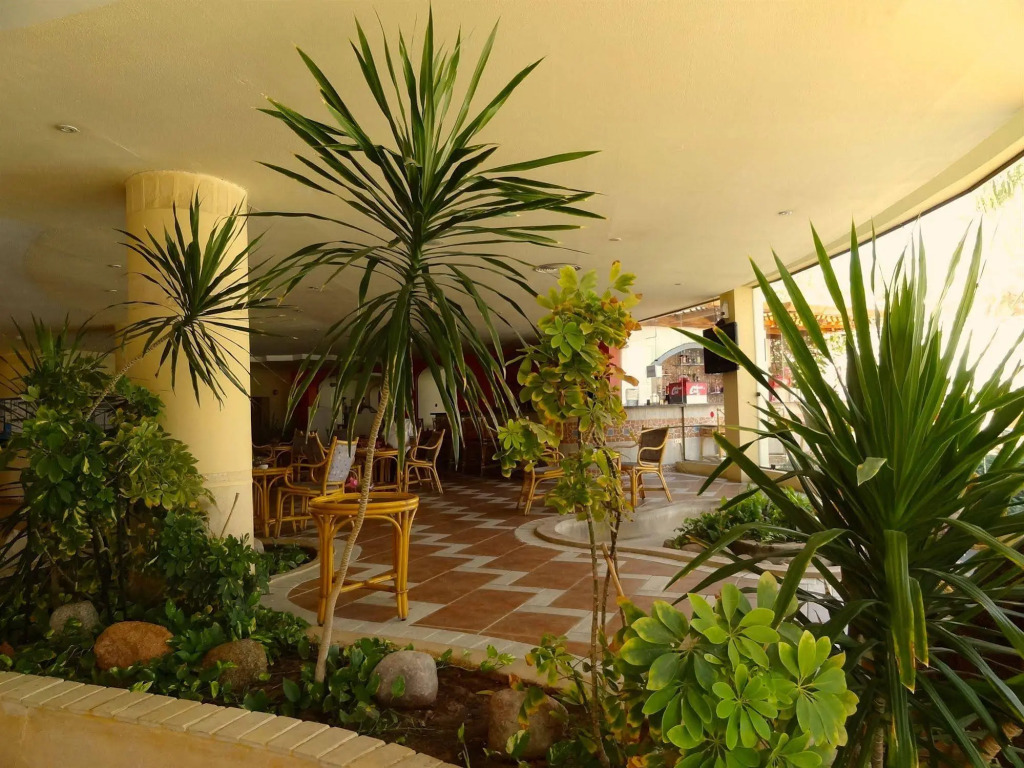 Luna Sharm