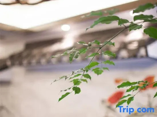Tangquange Hot Spring Guesthouse