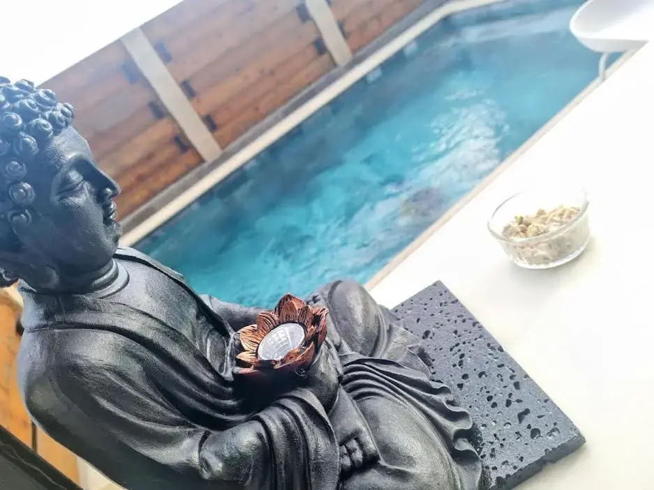 2 charmants LOFTS avec piscine