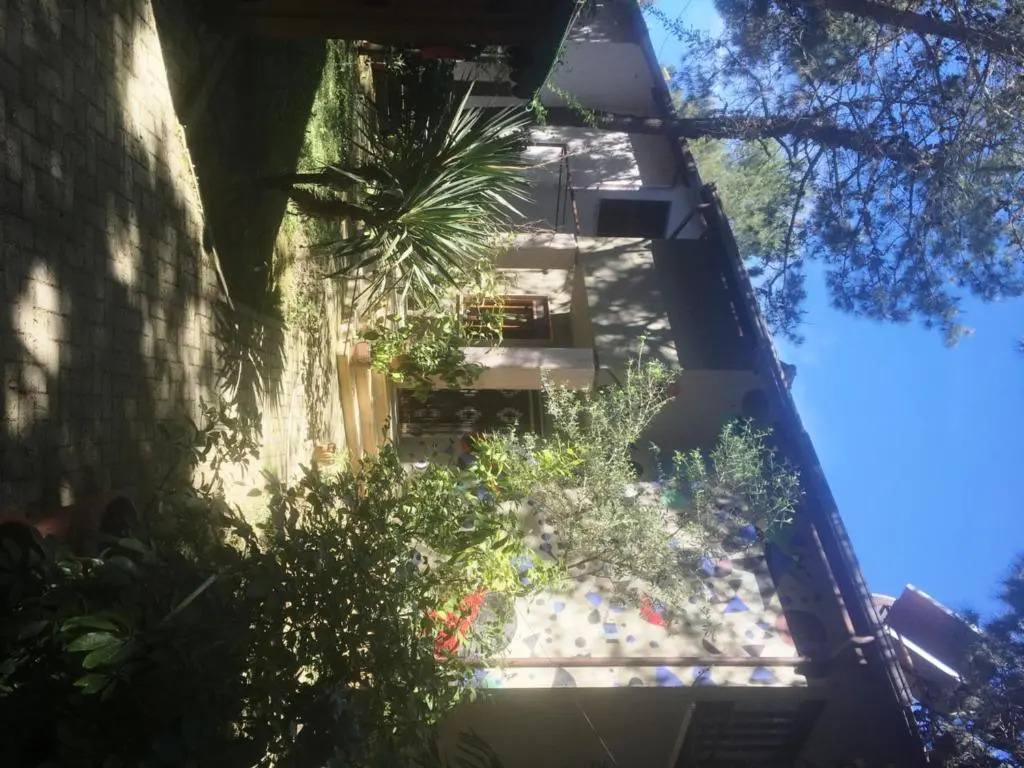 Miro Villa