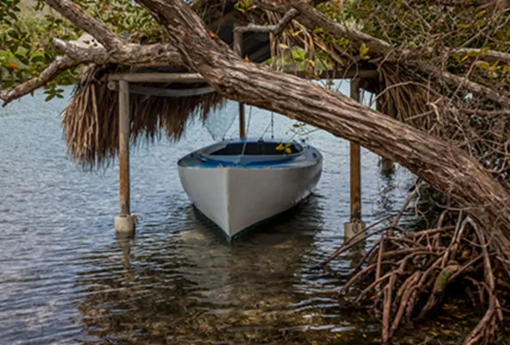 Isla Madre Selva