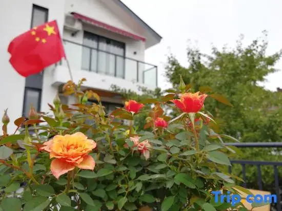 Xunyuanju Homestay