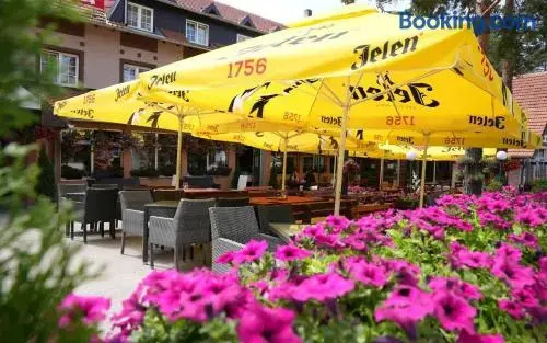 Hotel Pepa