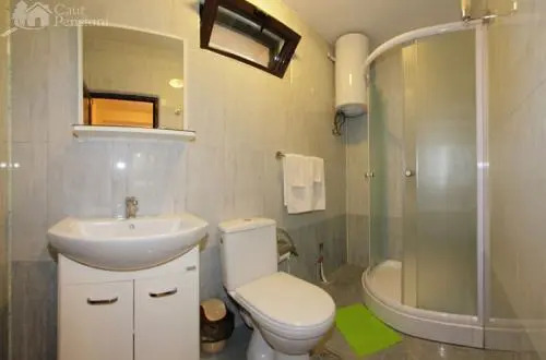 Pension Camelia
