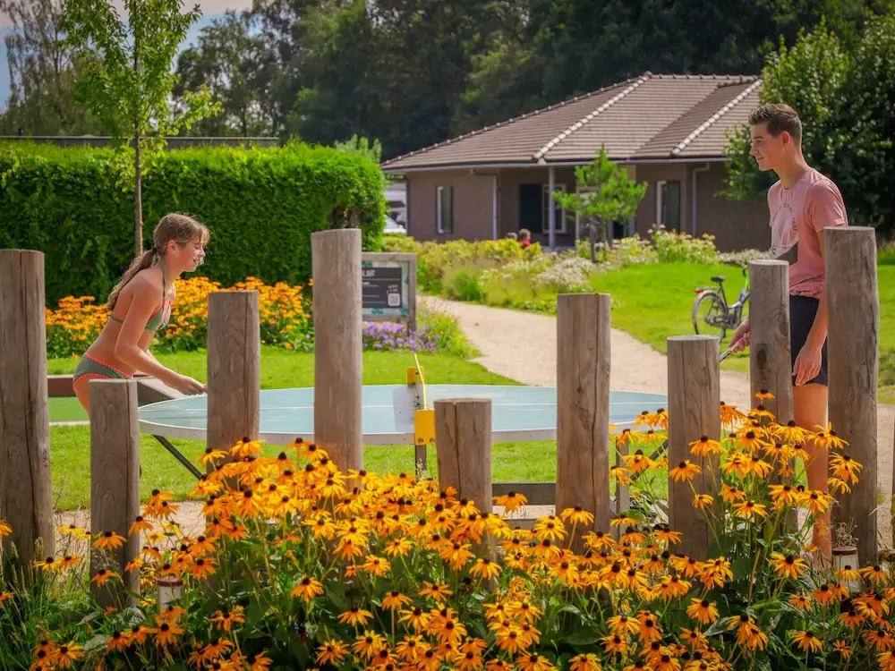Well Furnished Tent Lodge with Terrace near Veluwe