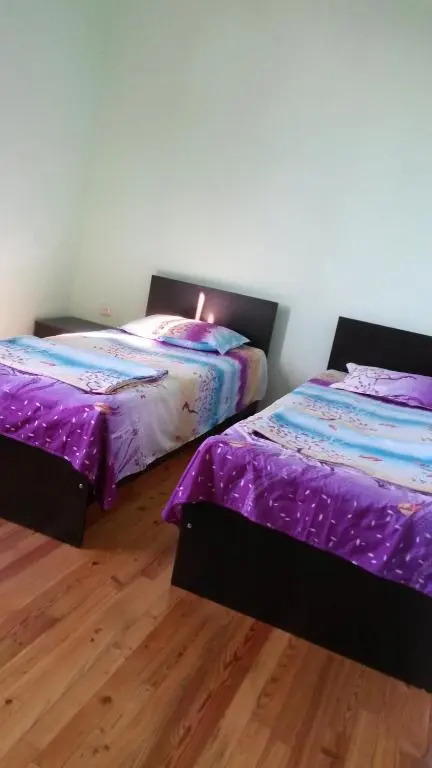 Shalva Apartment
