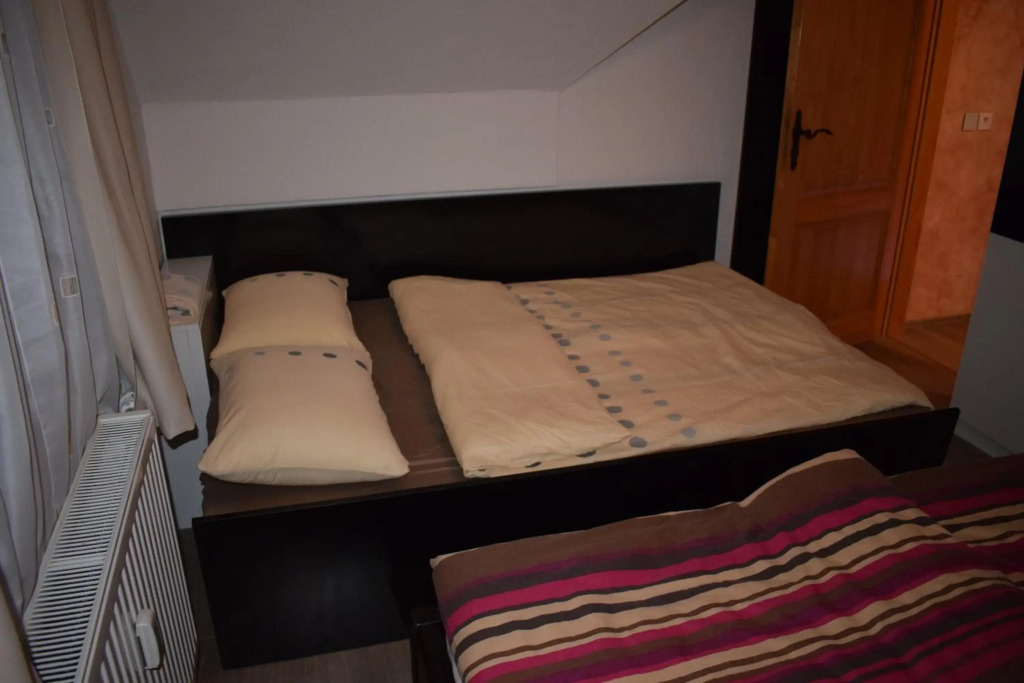 Apartment Borovnica