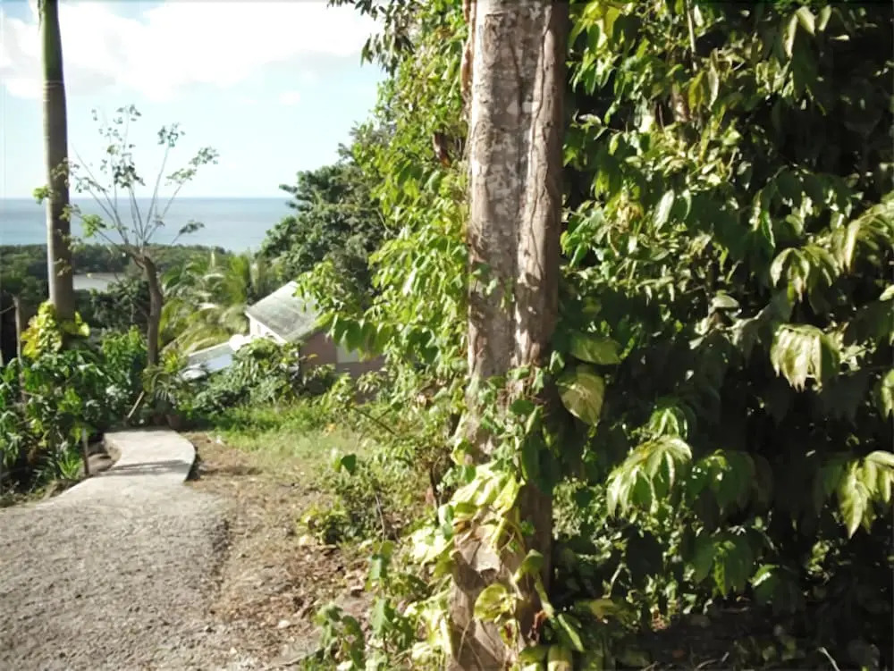 Oasis Grande Anse