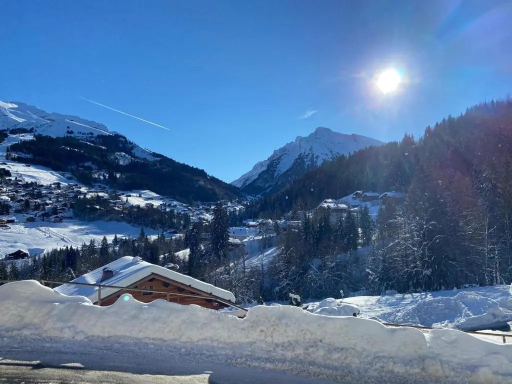 Appartement La Clusaz, 2 pièces, 4 personnes - FR-1-437-89