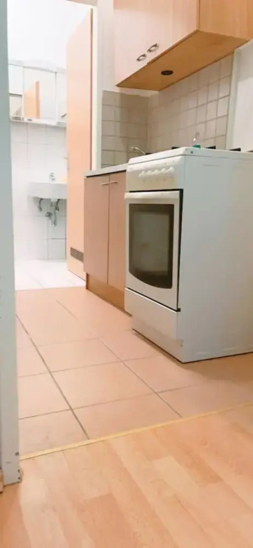 Bright Vienna 1BR Apartment Near Danube