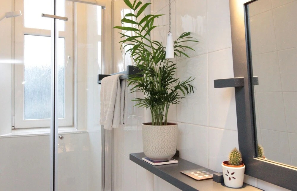 Bright, Spacious Flat For 2 in Edinburgh