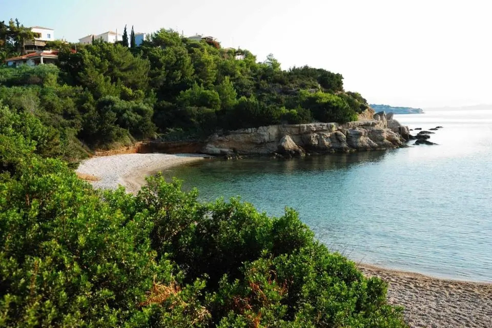 Studio Gerani 1