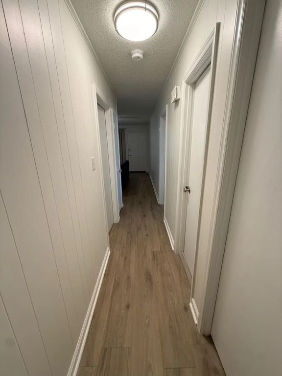 Newly Renovated 3 Bedroom House in Lakewood