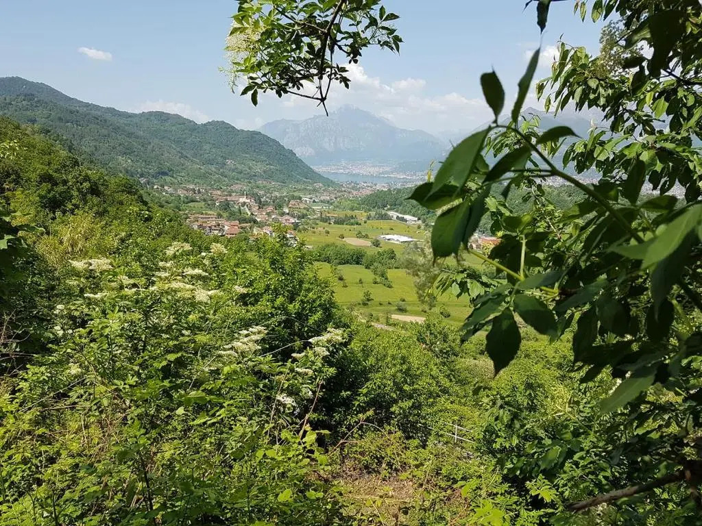 Amata Valgre