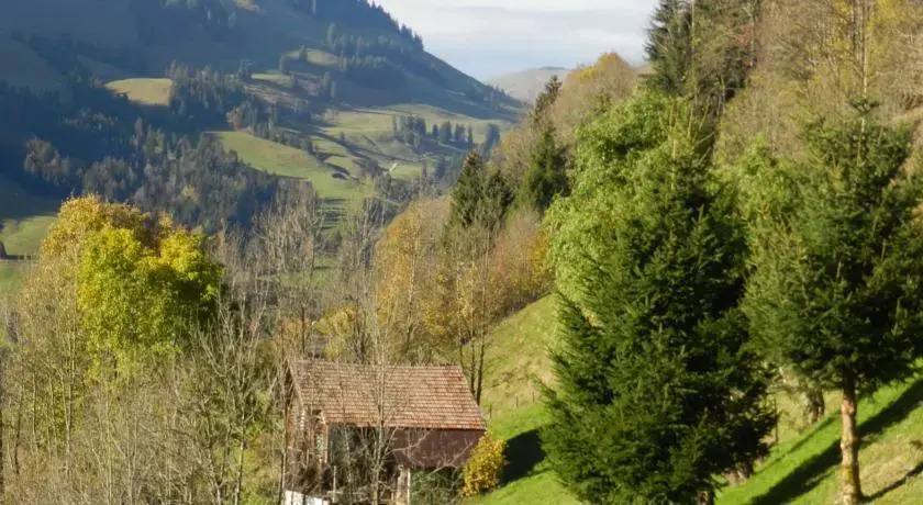 Waldruhe
