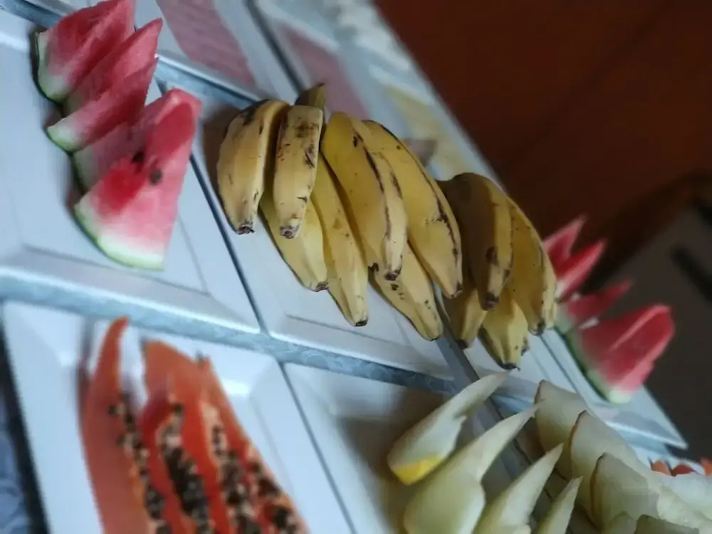 Fortaleza Hotel