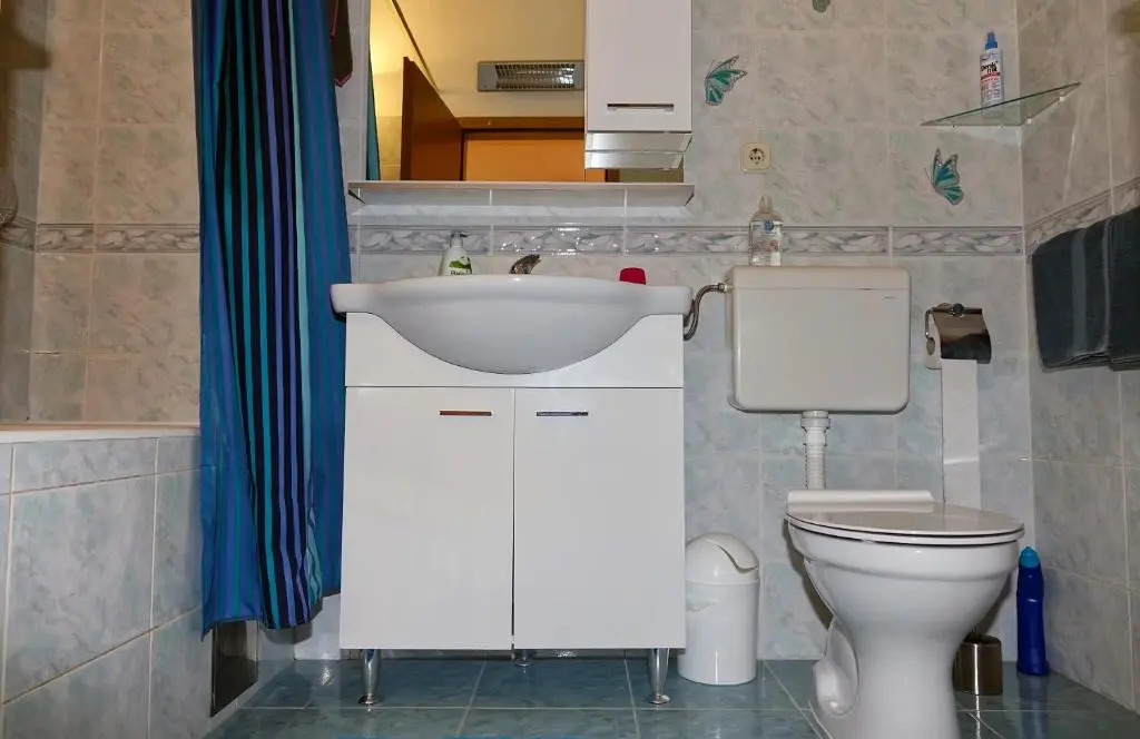 Apartment Babić