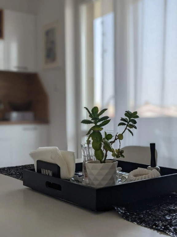 Cosy apartment