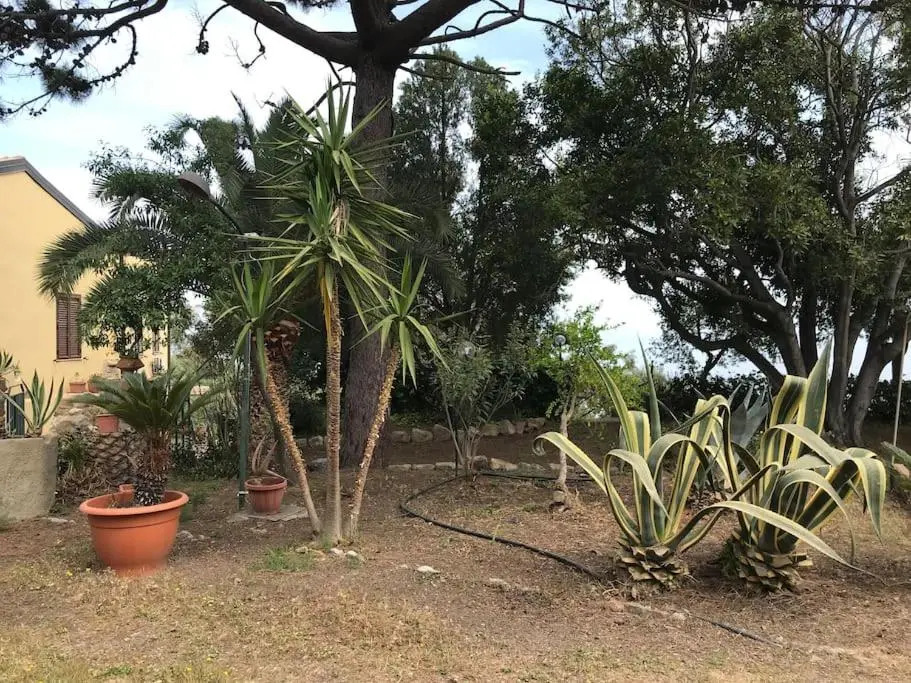 "Il Gelso" in Villa G reco