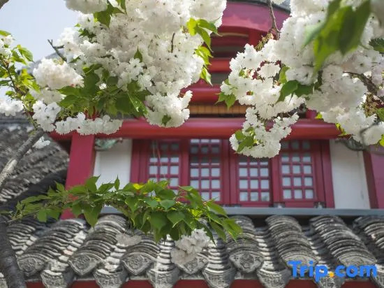 Pinheju | Yanyu Cultural Retreat Hot Spring Resort (Dongguan Street Branch)