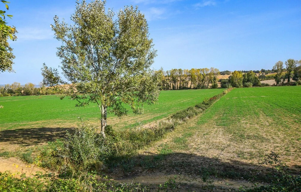 Awesome Home in Grosseto With 2 Bedrooms, Wifi and Outdoor Swimming Pool