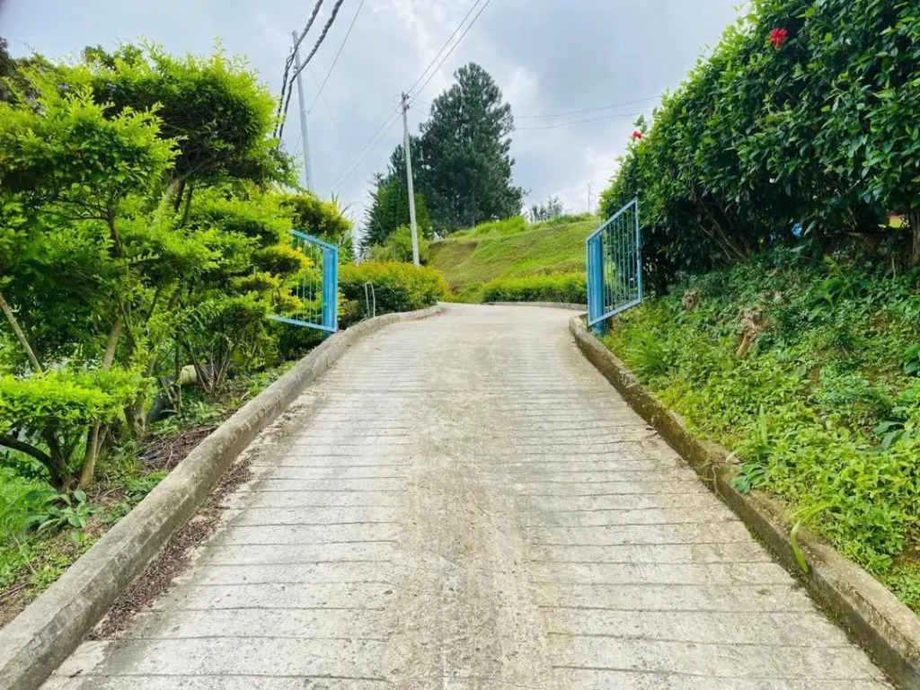 THE CLOUD KINABALU- HOUSE