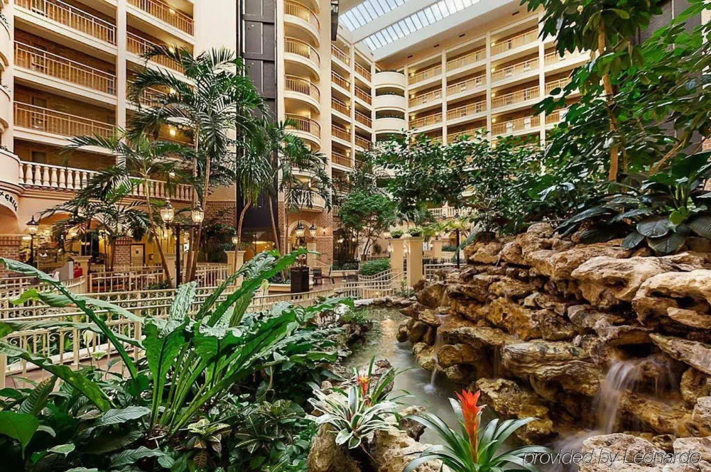 Embassy Suites by Hilton Orlando International Drive Convention Center