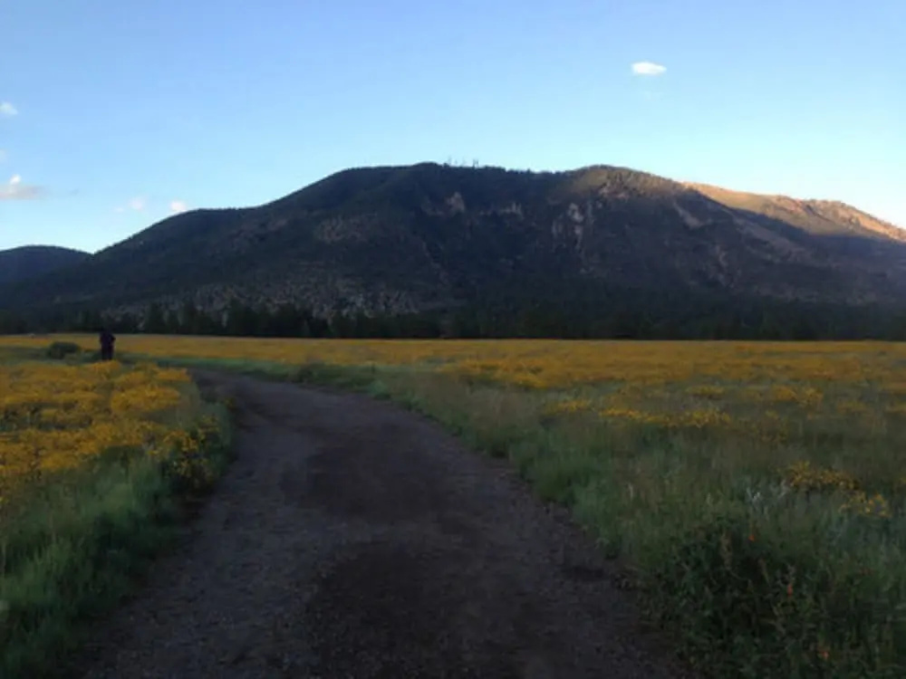Elden Trails Bed and Breakfast