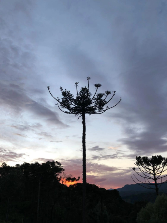 Refúgio da Montanha