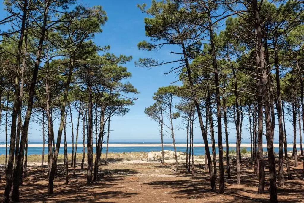 Les Pignots Logement T2 Bassin Arcachon